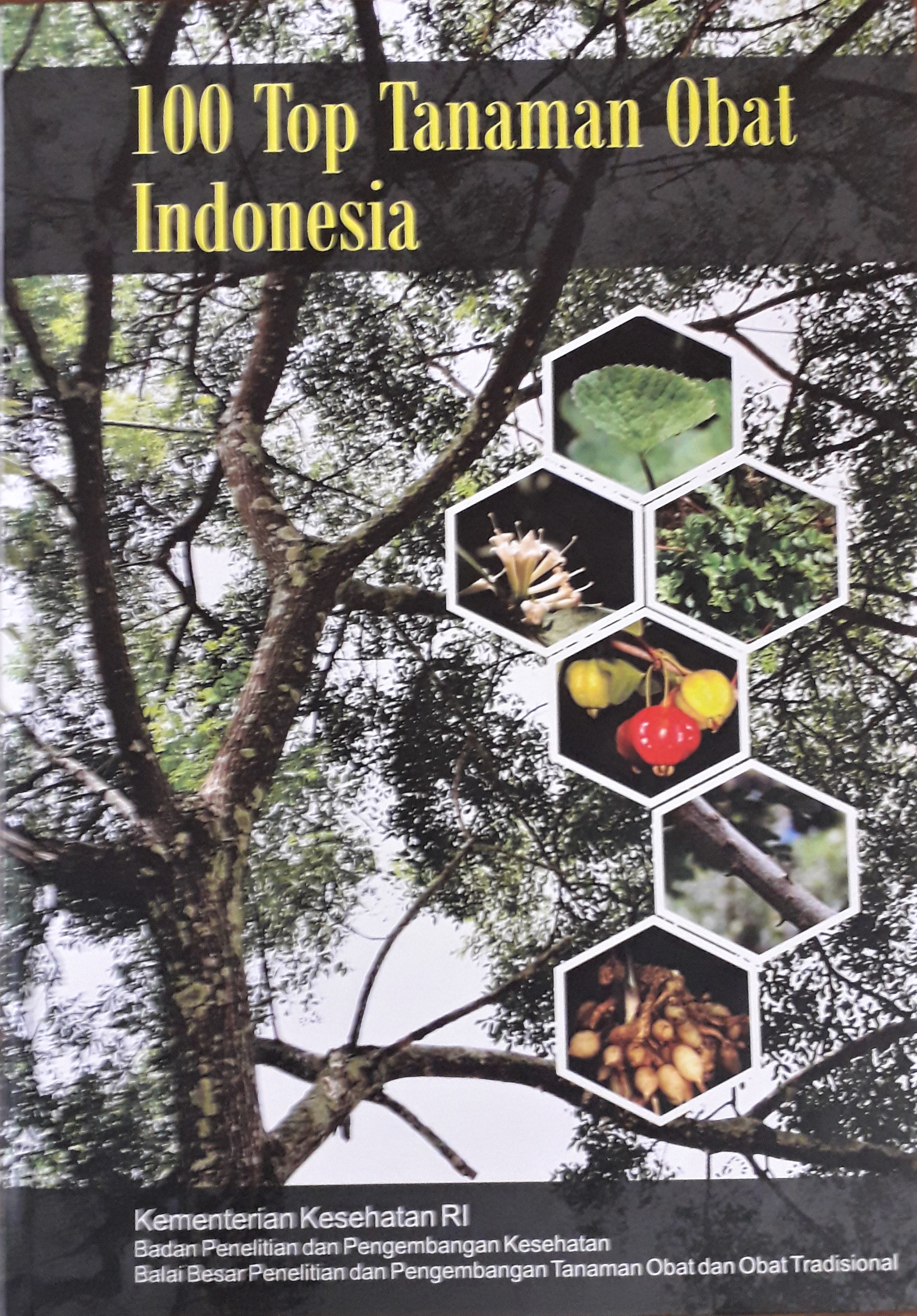 Cover 100 Top Tanaman Obat Indonesia :  - / Kepala Balai Besar Litbang Tanaman Obat dan Obat Tradisional