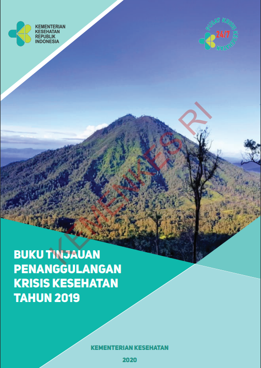 Cover Buku Tinjauan Penanggulangan Krisis Kesehatan Tahun 2019 / Widiana Kusumasari Agustin
