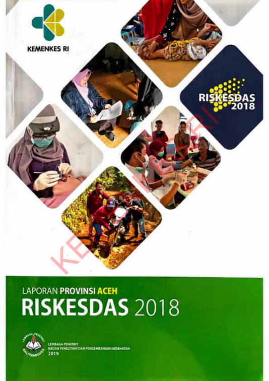 Cover laporan Provinsi Aceh RISKESDAS 2018 / Badan Penelitian dan Pengembangan Kesehatan