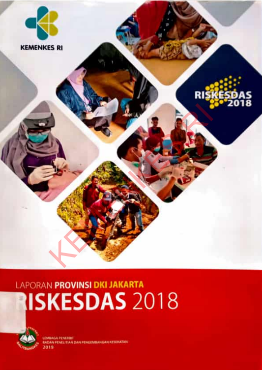Cover Laporan Provinsi DKI Jakarta Riskesdas / Badan Penelitian dan Pengembangan Kesehatan