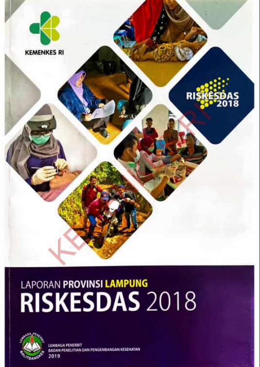 Cover Laporan Provinsi Lampung Riskesdes / Badan Penelitian dan Pengembangan Kesehatan