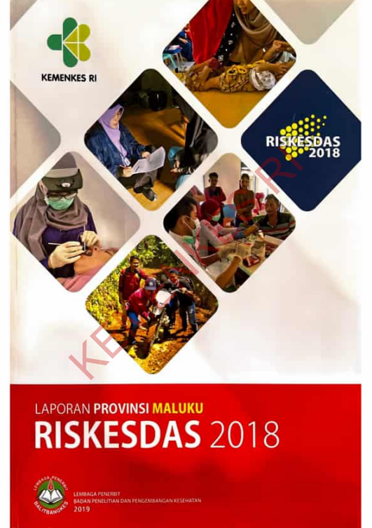 Cover Laporan Provinsi Maluku Riskesdas / Badan Penelitian dan Pengembangan Kesehatan