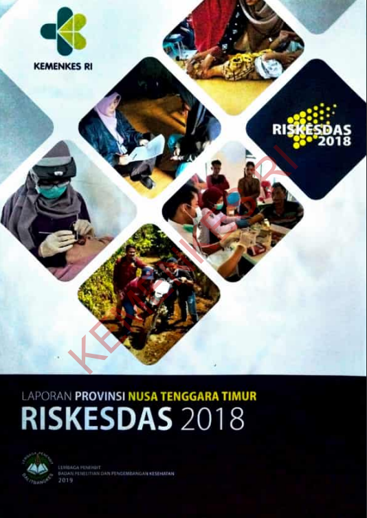 Cover Laporan Provinsi Nusa Tenggara Timur Riskedas / Badan Penelitian dan Pengembangan Kesehatan