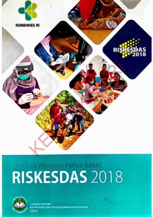 Cover Laporan Provinsi Papua Barat RISKESDAS 2018 / Badan Penelitian dan Pengembangan Kesehatan