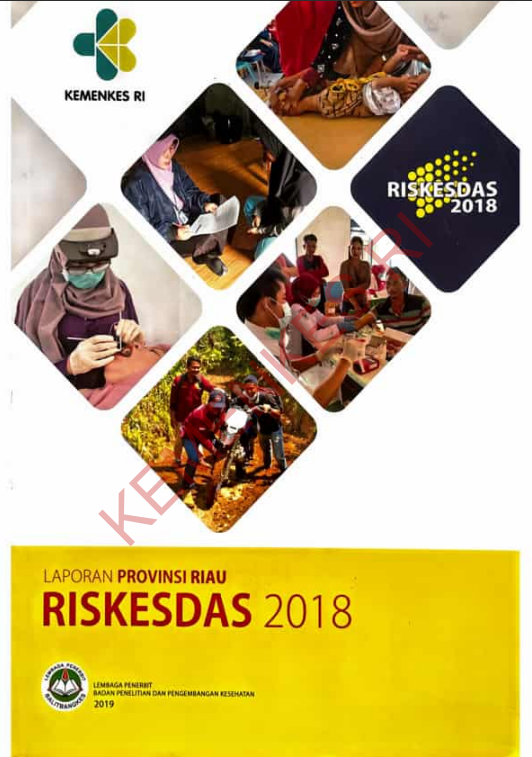 Cover Laporan Provinsi Riau Riskesdas / Badan Penelitian dan Pengembangan Kesehatan