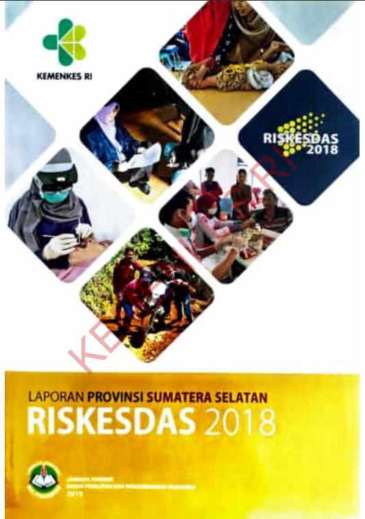 Cover Laporan Provinsi Sumatera Selatan Riskesdas / Badan Penelitian dan Pengembangan Kesehatan
