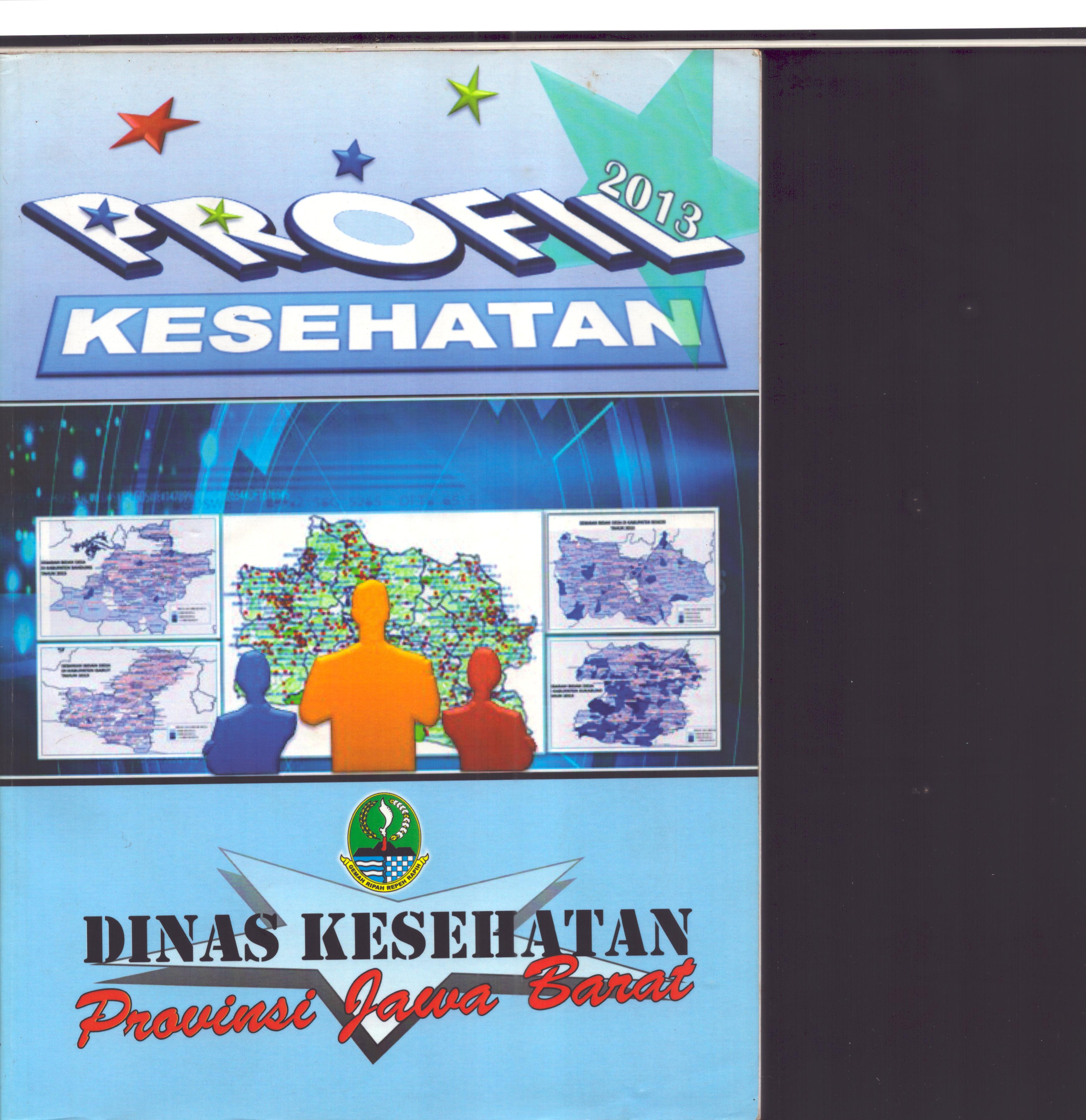 Cover Profil Kesehatan 2013 / Dinas Kesehatan Jawa Barat