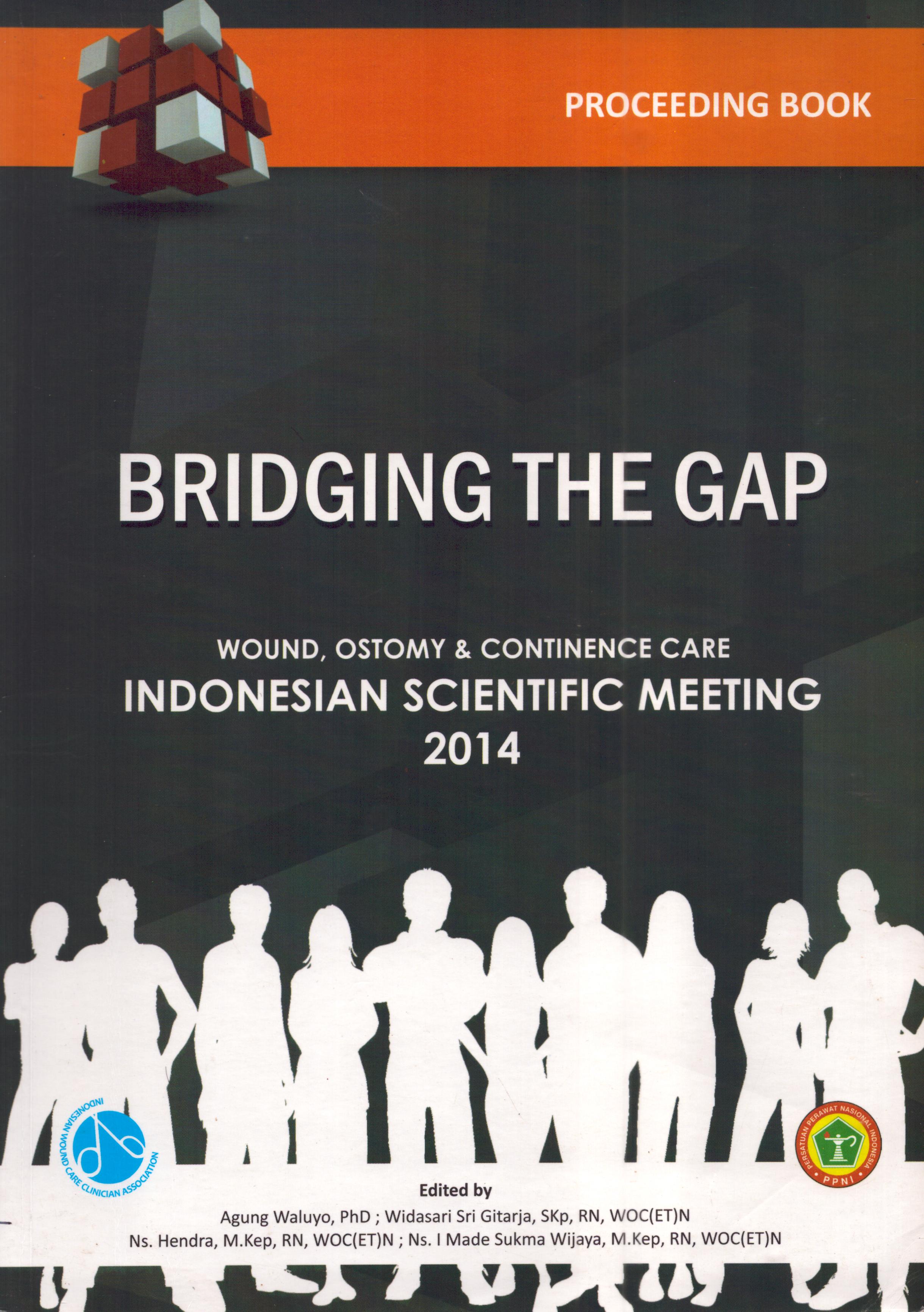 Cover Bridging The GAP / Yayasan Wocare Indonesia
