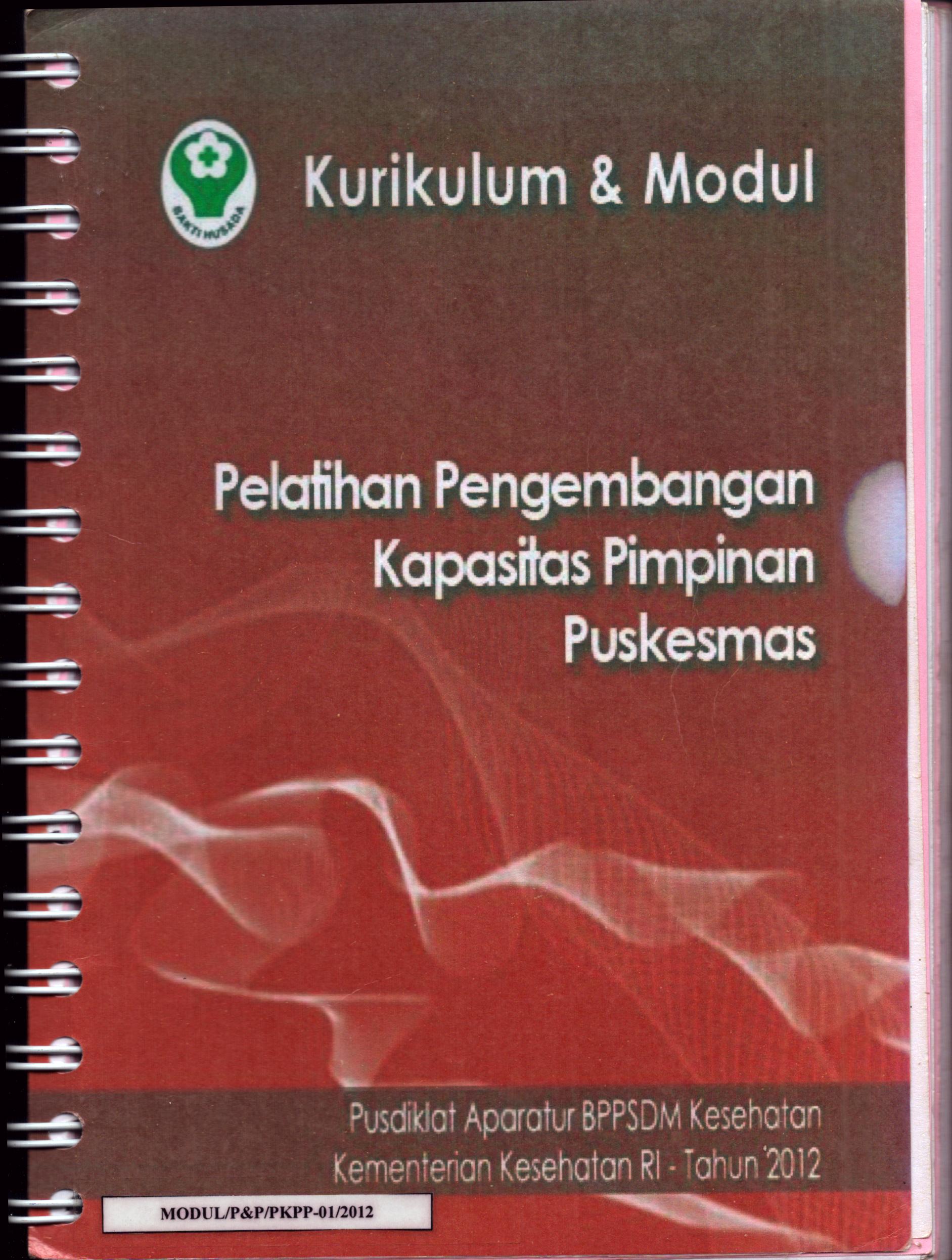 Cover Pelatihan Pengembangan Kapasitas Pimpinan Puskesmas / Pusat Diklat Aparatur