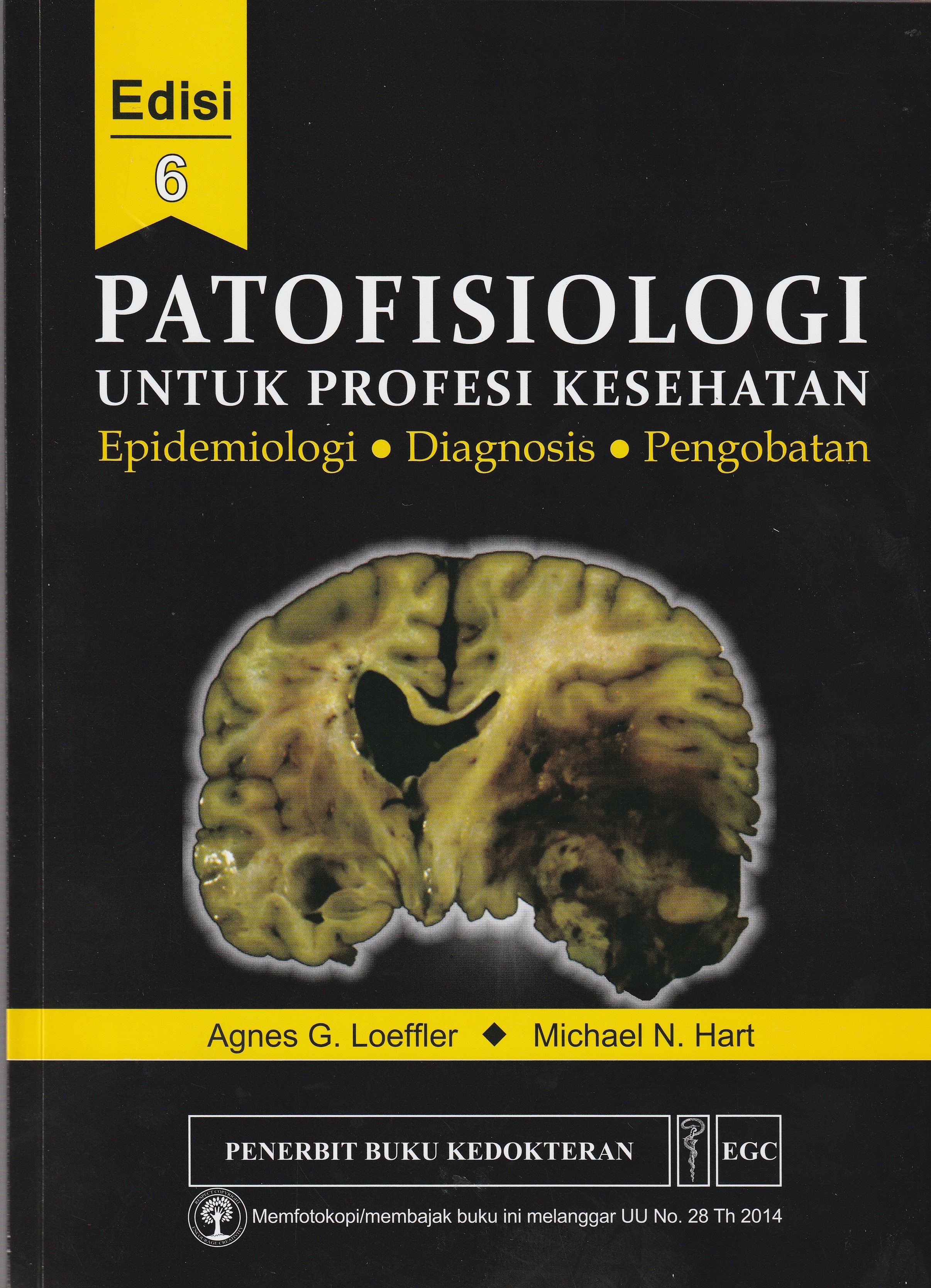 Cover Patofisiologi untuk Profesi Kesehatan :  Epidemiologi, Diagnosis, Pengobatan / Agnes G. Loeffler